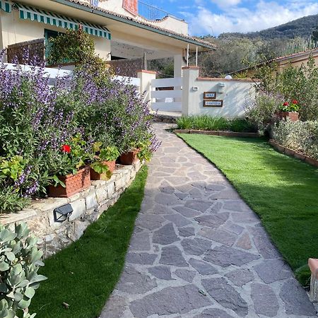 Beach Apartments Isola D'Elba Портоферайо Екстериор снимка